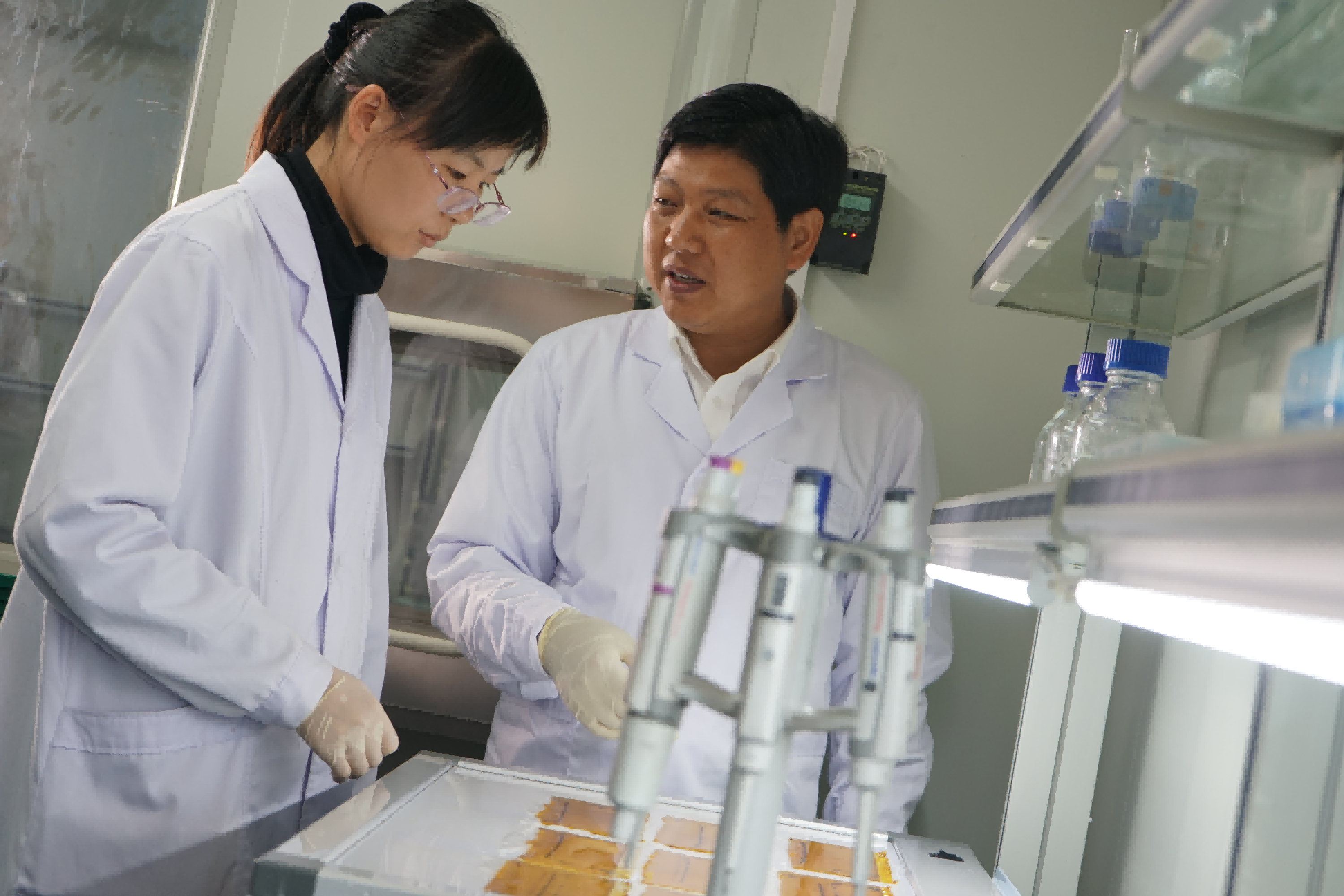 圖片1.png 圖片1.png