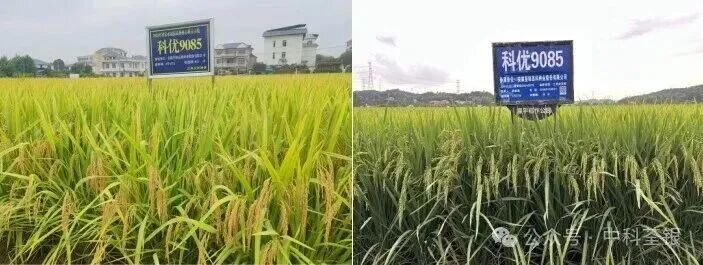 圖片1.png 圖片1.png